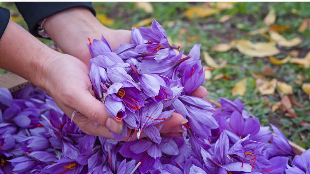 The Benefits of Using Natural Ingredients in Skincare, Including Saffron