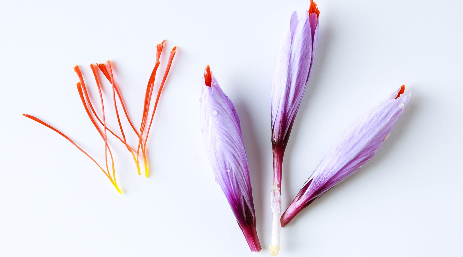 Top Skincare Trends in 2023: Why Saffron is the Ingredient to Watch